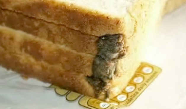 dead Mouse in bread loaf.-15 Most Disgusting Things People Ever Found In Their Food