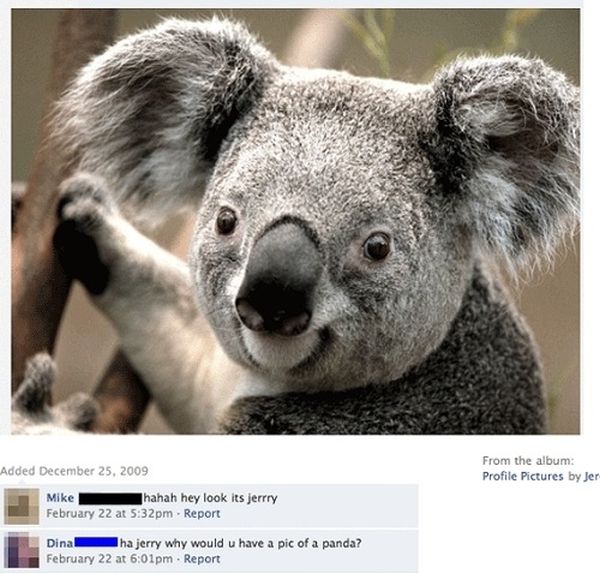 Is it a pic of Panda?-15 People Who Shouldn't Be On Facebook