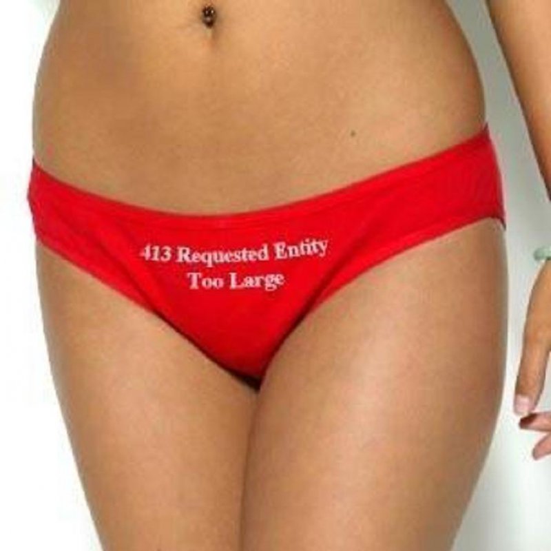Requested Entity Too Large Panties-12 Funniest Geeky Panties Ever Made