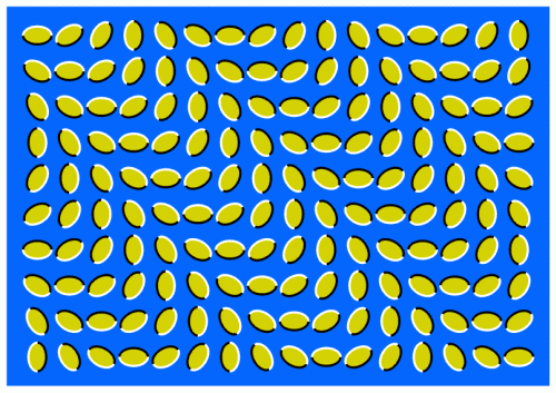Rice Wave-15 Best Optical Illusions Of All Time