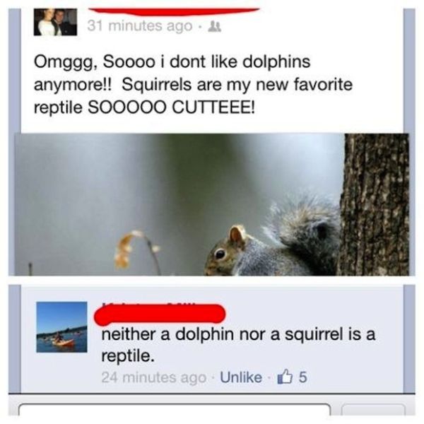 Squirrel a reptile? lol-15 People Who Shouldn't Be On Facebook