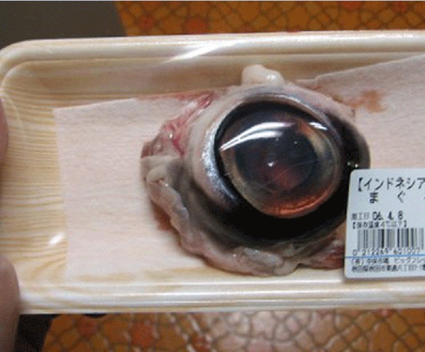 Tuna Eyeball-Strangest Foods Around The World