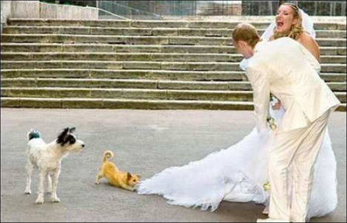 Dog man's best friend...-Hilarious Wedding Photos