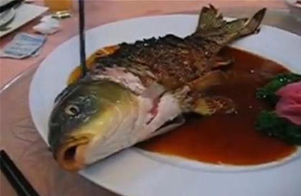 Ying Yang fish-Strangest Foods Around The World